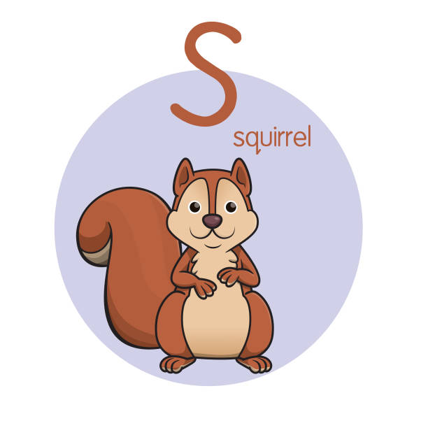 ilustrações de stock, clip art, desenhos animados e ícones de vector illustration of squirrel with alphabet letter s upper case or capital letter for children learning practice abc - leaf autumn falling tree