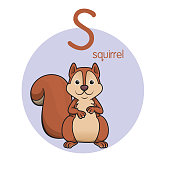 Vector illustration of Squirrel with alphabet letter S Upper case or capital letter for children learning practice ABC
