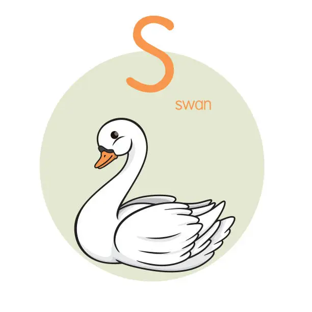 Vector illustration of Vector illustration of Swan with alphabet letter S Upper case or capital letter for children learning practice ABC