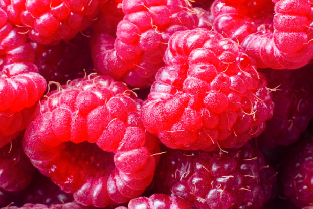 istock Macro of ripe red raspberry. Food background. Close-up. 1354587644