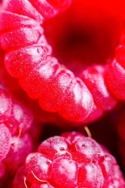 A macro perspective of a pile of ripe, red raspberries against a bright, white background. The berries' detailed texture and vivid color evoke freshness and a healthy lifestyle, making it ideal for culinary and wellness concepts. The composition emphasizes their natural vibrancy and nutritional appeal.