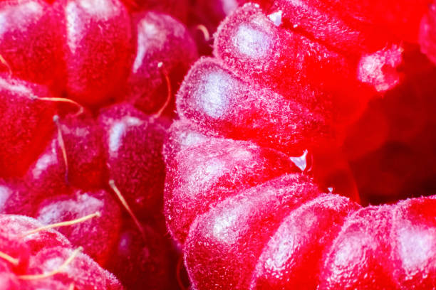 istock Ripe raspberries macro shot. Fruit background.Selective focus 1354588374