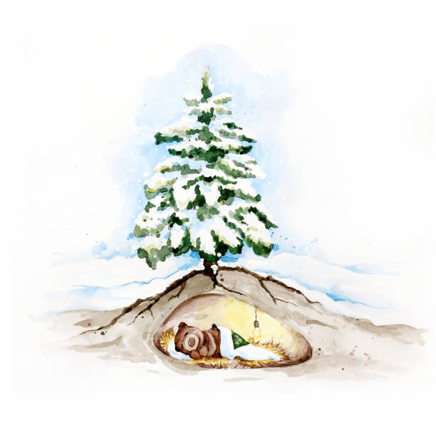 słodki miś śpi w swojej jaskini. - christmas christmas tree snow illustration and painting stock illustrations