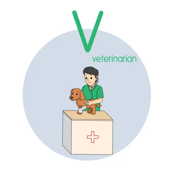 Vector illustration of Vector illustration of Veterinarian with alphabet letter V Upper case or capital letter for children learning practice ABC