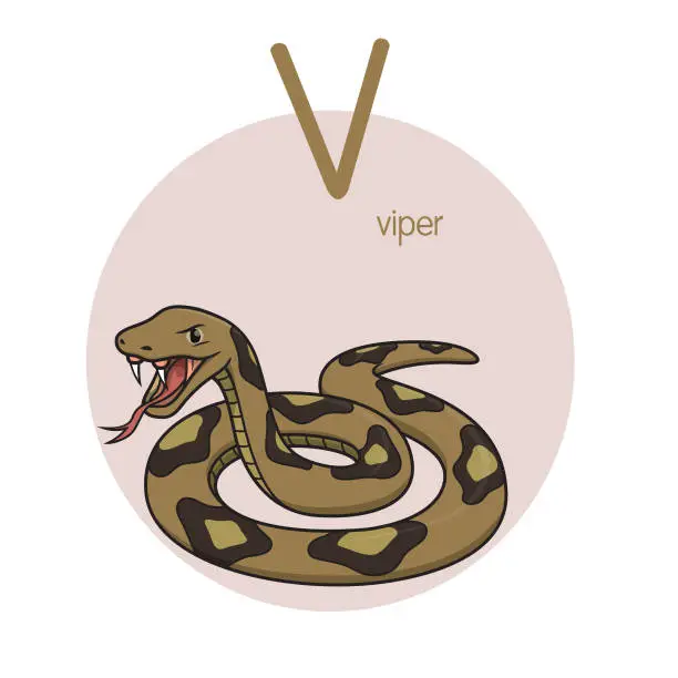 Vector illustration of Vector illustration of Viper with alphabet letter V Upper case or capital letter for children learning practice ABC