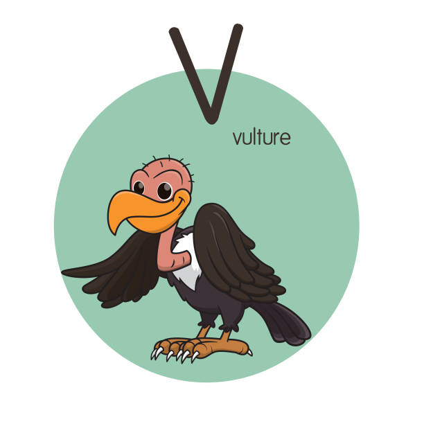 56 Letter V Vulture Illustrations & Clip Art - iStock