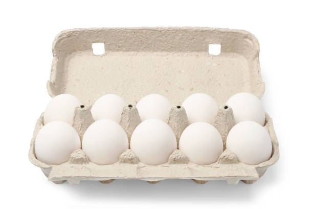 Chicken eggs in cassette Ten chicken eggs in cardboard cassette isolated on white egg carton stock pictures, royalty-free photos & images