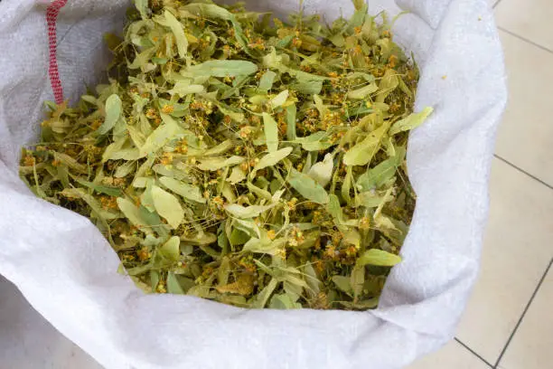 Photo of Dried Lime Flowers for being Lime Tea