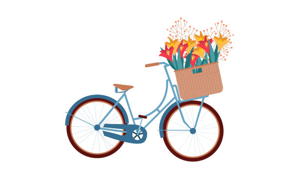 Beautiful Bicycle in retro style Beautiful Bicycle in retro style with a basket of flowers in front. Vector illustration bicycle basket stock illustrations