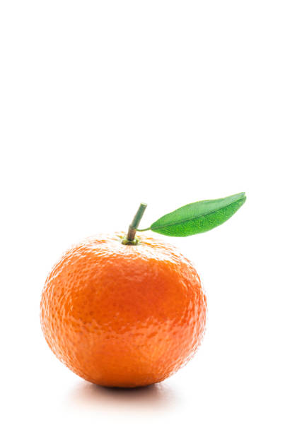 istock One tangerine citrus fruit closeup with leave isolated on white 1354618339
