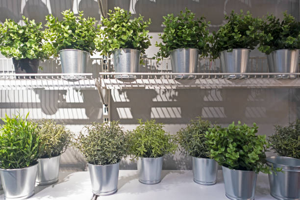 istock Flower pots hanging in a wall. 1354633228