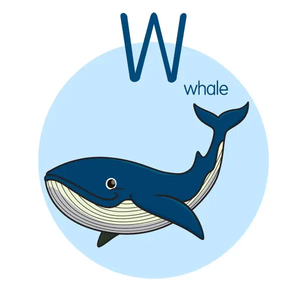 Vector illustration of Vector illustration of Whale with alphabet letter W Upper case or capital letter for children learning practice ABC