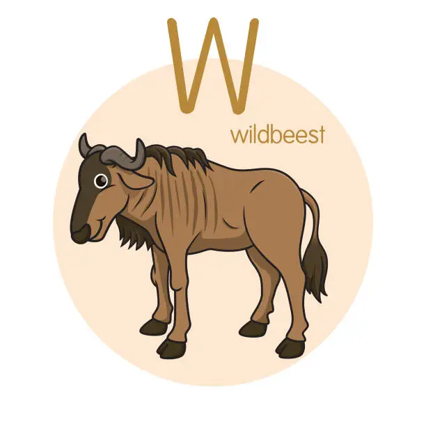 Vector illustration of Vector illustration of Wildbeest with alphabet letter W Upper case or capital letter for children learning practice ABC