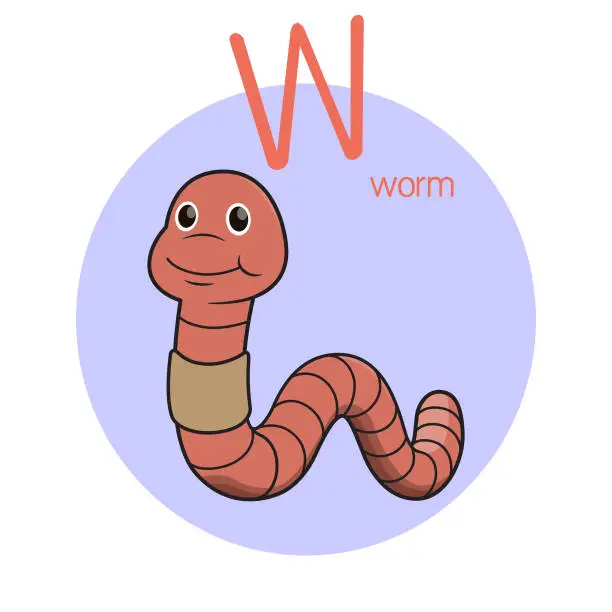 Vector illustration of Vector illustration of Worm with alphabet letter W Upper case or capital letter for children learning practice ABC