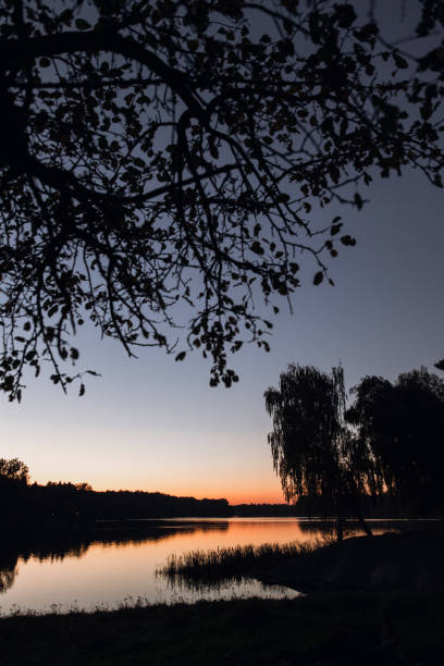 istock Scenic sunset at the lake 1354641407