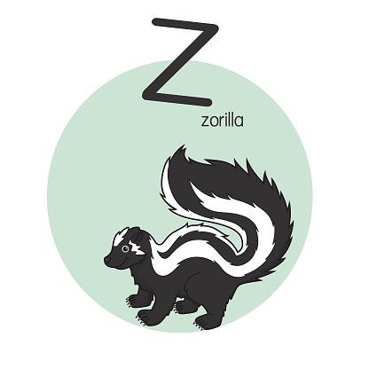 Vector illustration of Zorilla with alphabet letter Z Upper case or capital letter for children learning practice ABC