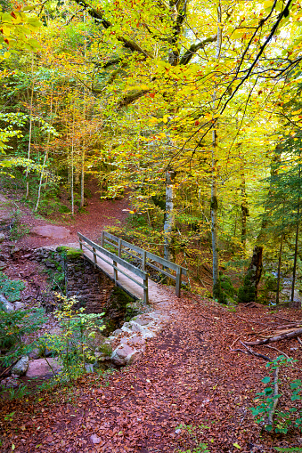 Autumn Selva de Oza picturesque bridge in Valle de Hecho of Huesca at Pyrenees of Spain, Valles Occidentales Natural Park
