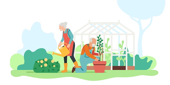 Senior family hobby. Elderly people engaged gardening. Grandparents plant and water flowers in yard. Couple take care of blossoms. Persons work in garden and greenhouse. Vector concept