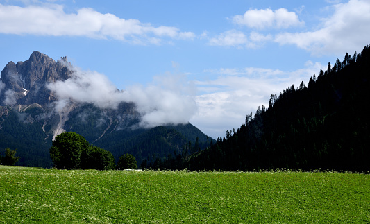 Meadows and forests in the Braies valley in the presence of the peaks of the Picco Vallandro