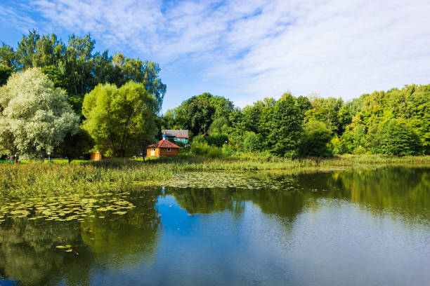 istock Summer village landscape with lake on a sunny day 1354652099