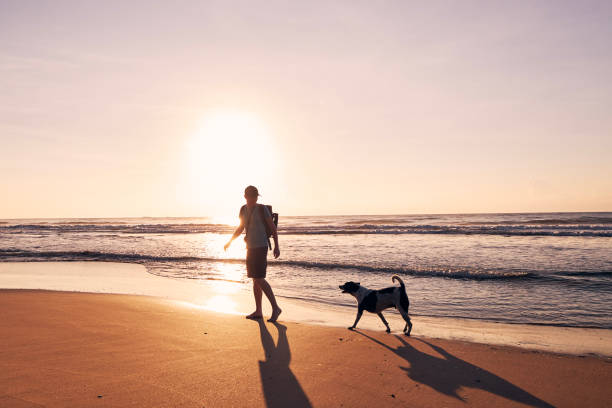 istock Silhouette of young man during walk with dog on beach 1354659377