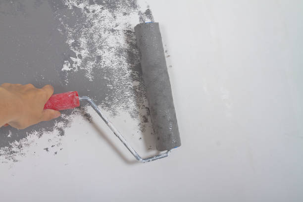 istock Paint a white wall in gray with paint using a paint roller during repairs in the house 1354672247