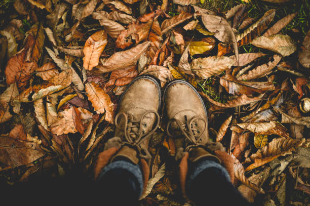 Boots in Autumn Leaves - Creative Stock Image stock photo