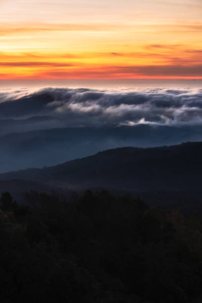 istock Doi Inthanon Chiangmai Thailand 1354673458