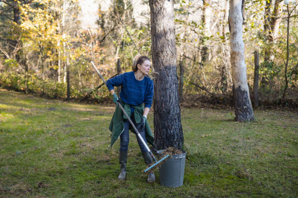 istock woman working in the garden 1354673695