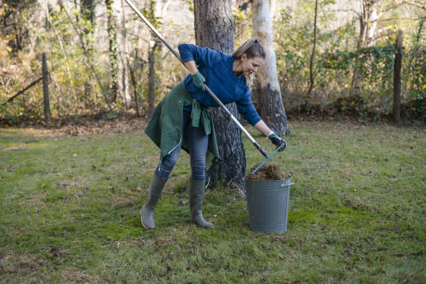 istock woman working in the garden 1354675027