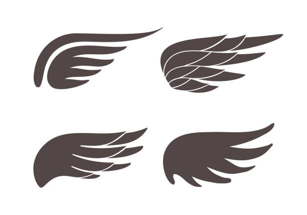 ilustrações, clipart, desenhos animados e ícones de asas forma ícones. diferentes formas de ícones de asas negras, penas de anjo ou pássaro-águia, liberdade e emblema da paz. elementos para logotipo, rótulo criativo ou tatuagem. conjunto isolado vetorial - artificial wing wing eagle bird