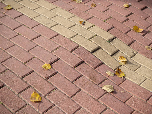 istock Uneven paving stones bricks floor around pine tree damaged by growth and careless 1354681275