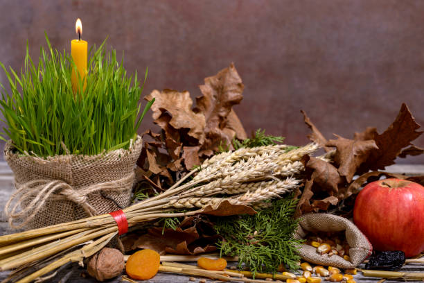 Christmas oak tree, candle, bread and dried fruits Traditional food for orthodox Christmas eve. Yule log or badnjak, apple, cereals, dried fruit and a burning candle in green wheat on a wooden table. Concept celebration orthodox Christmas. orthodox church stock pictures, royalty-free photos & images