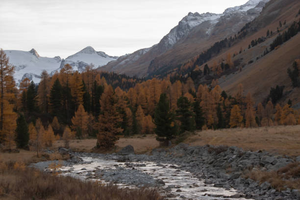 istock Colors of the autumn in St. Moritz. 1354693011