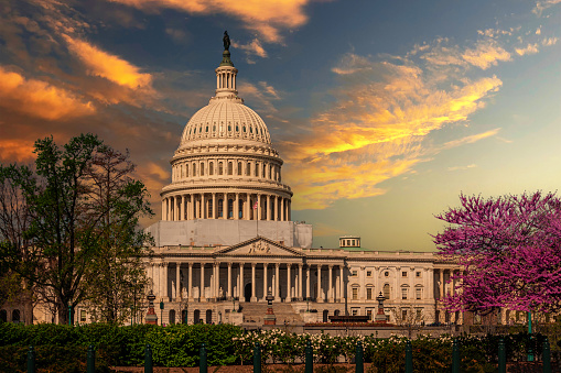East Façade of the US Capitol Building, Washington DC, USA. Green bushes and trees and purple tree in bloom are in foreground. Orange, Blue and Yellow Sunset Sky, on a beautiful spring evening is in background. Canon EF 24-105mm/4L IS USM Lens.