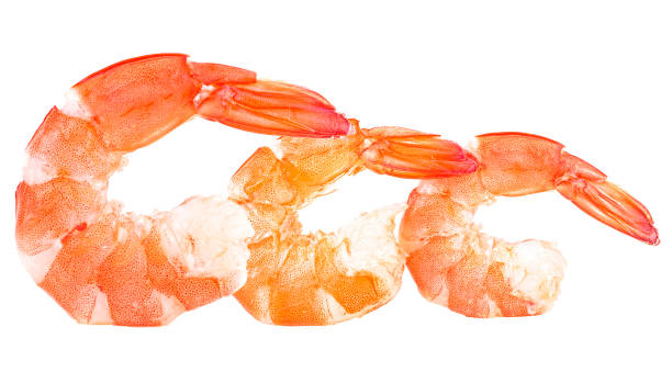 Cooked unshelled tiger shrimps isolated on a white background Cooked unshelled tiger shrimps isolated on a white background black tiger shrimp stock pictures, royalty-free photos & images