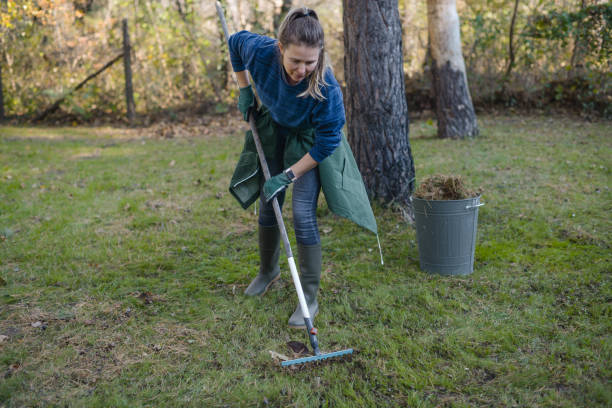 istock woman working in the garden 1354700040