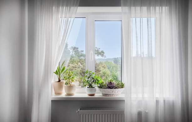 istock Window with white tulle and potted plants on windowsill 1354707415