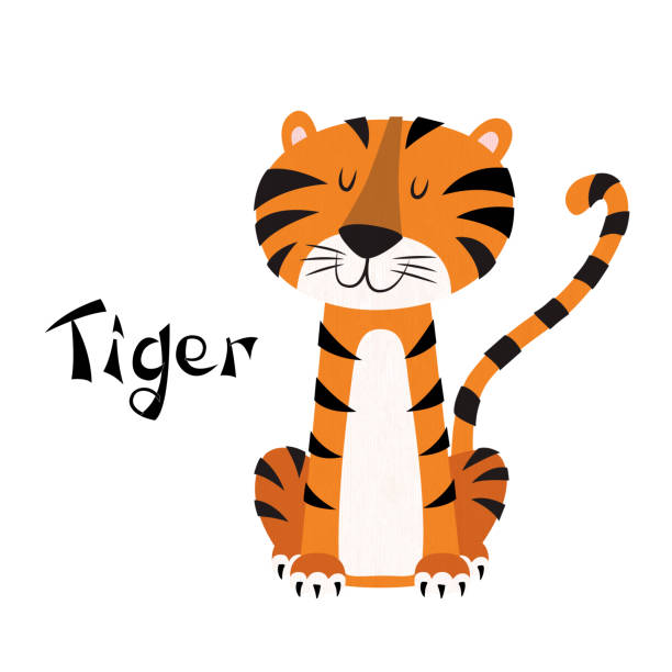 Drawing Of Cute Tiger Sitting Illustrations, Royalty-Free Vector Graphics &  Clip Art - iStock
