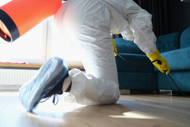 istock A man in a protective suit sprays under the couch 1354714713