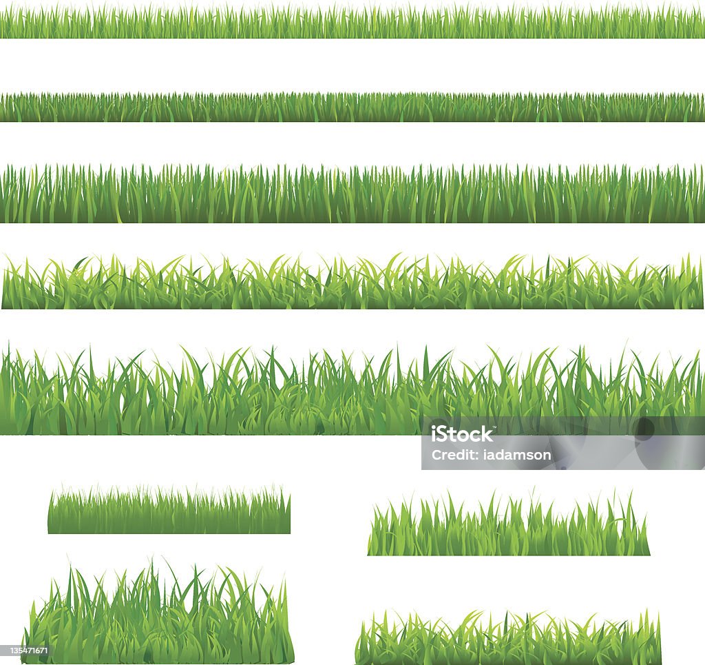 Verde de hierba - arte vectorial de Flora libre de derechos