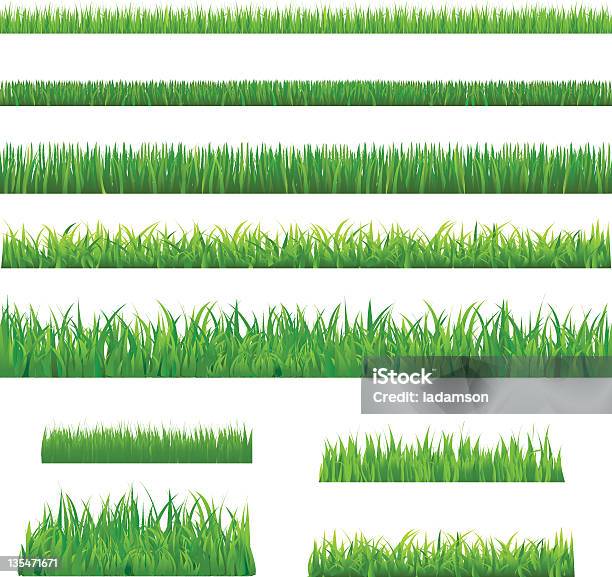 Duża Zielona Trawie - Stockowe grafiki wektorowe i więcej obrazów Roślina - Roślina, Trawa, Bez ludzi