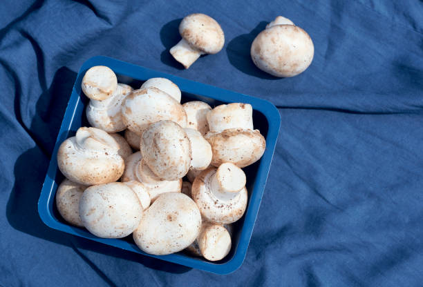 istock Flat lay photograph of fresh whole white button mushrooms 1354718331