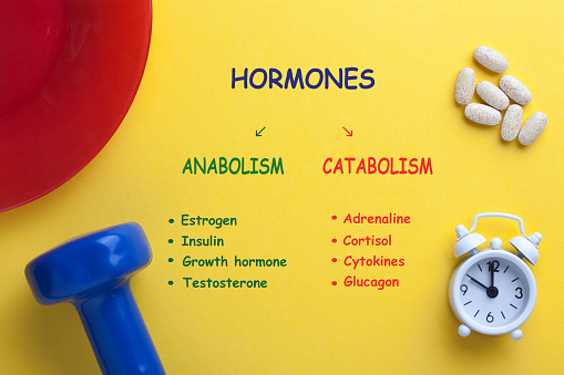 Hormones anabolism vs catabolism diagram with dumbbells, clock, vitamins end plate.