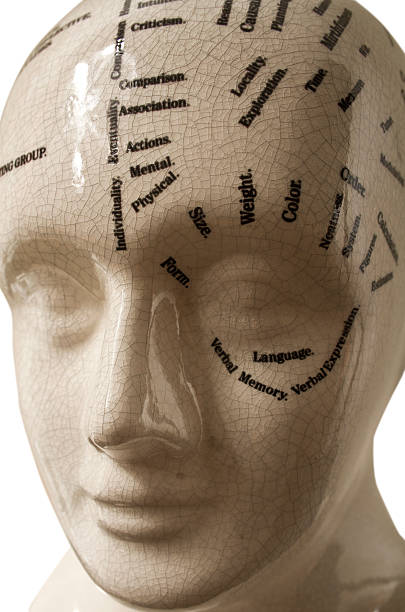 istock phrenology head  Mental health 135472217