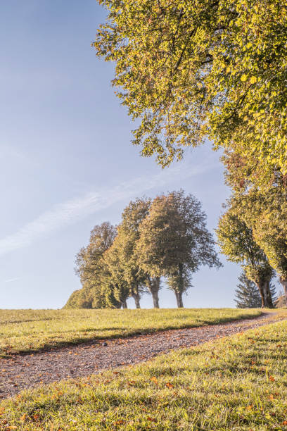 istock Trail between Gaissach and Bad Toelz 1354722851