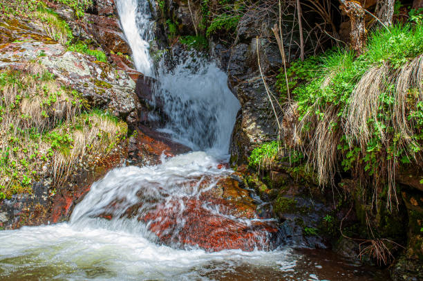 istock Powerful Cunguljski Falls cascading down and green moss in the forest 1354724912