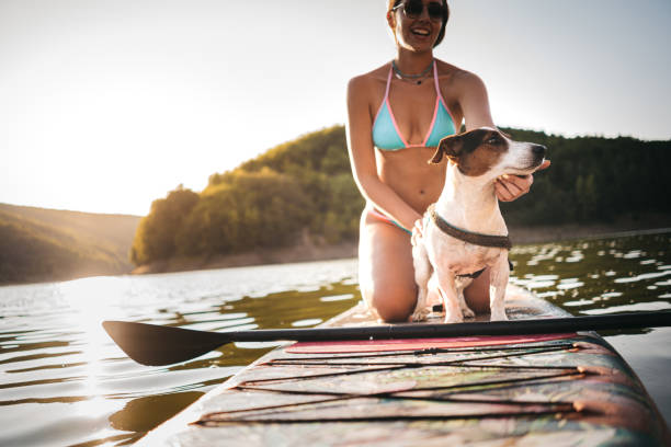 istock Paddleboarding Woman With Dog 1354725151