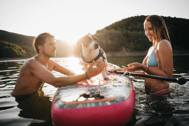 istock Happy Couple Paddle Boarding at Sunset with dog 1354727114