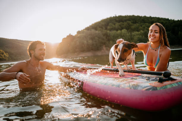 istock Happy Couple Paddle Boarding at Sunset with dog 1354727151